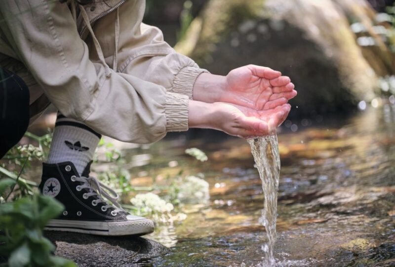 Hiking in Nature: Guided paths passing through Marvão - Suitable Options to Complement the Tour