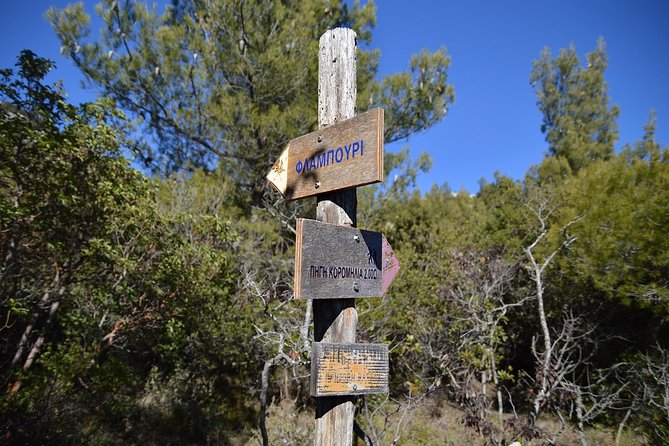 Hiking in Parnitha National Park from Athens - Key Points