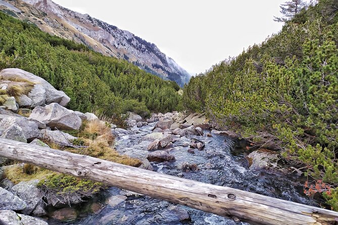 Hiking in Pirin- the UNESCO World Heritage Natural Park with a visit of Bansko - Who Will Enjoy This Tour Most?