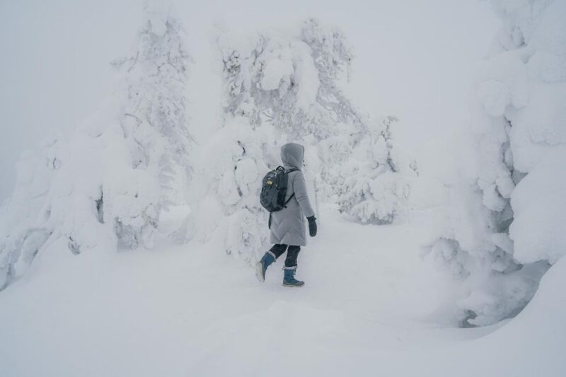 Hiking in Riisitunturi National Park with Photographer - Discover Riisitunturi National Park with a Photography-Focused Hiking Tour