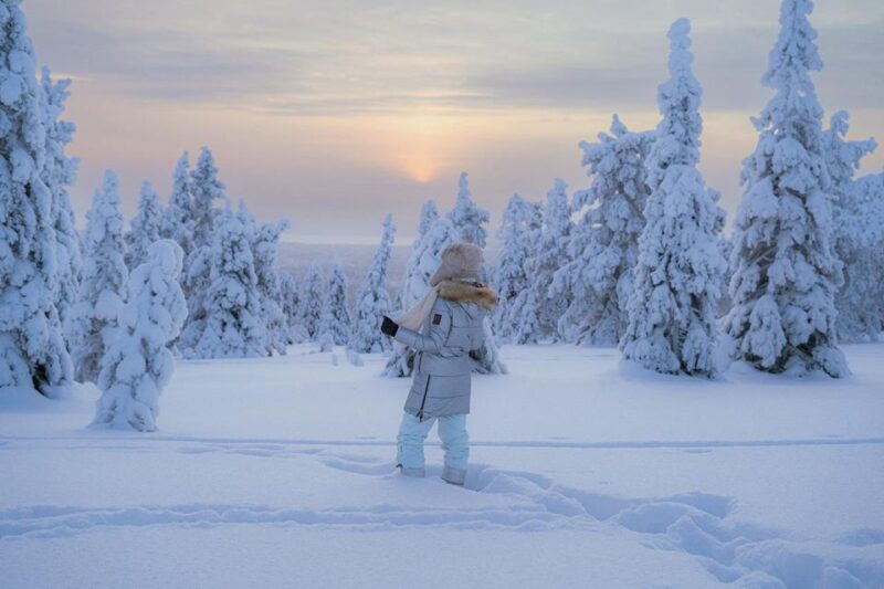 Hiking in Riisitunturi National Park with Photographer - Tour Timing and Flexibility with Booking Options