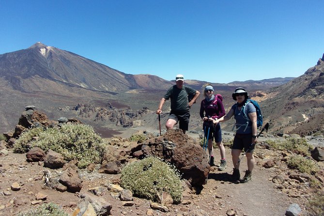 Hiking in Tenerife's Great Outdoors - Tenerife’s Guided Hiking Tour: A Scenic Exploration with Expert Insight