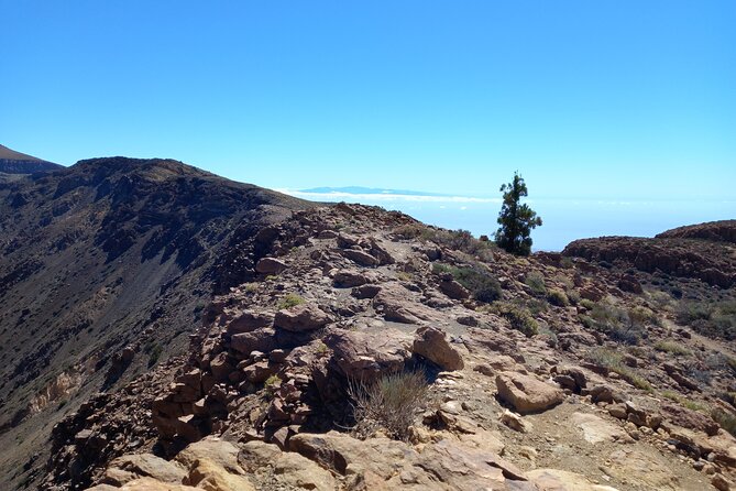 Hiking in Tenerife's Great Outdoors - Physical Requirements and Best Fit for Participants