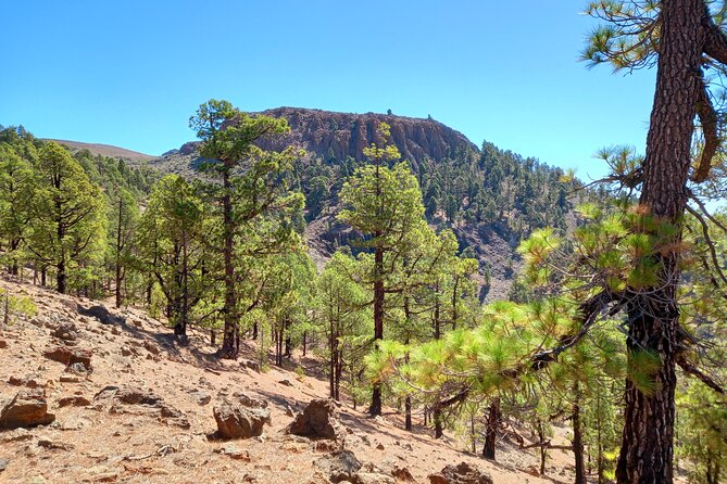 Hiking in Tenerife's Great Outdoors - Pacing, Group Size, and Weather Policy