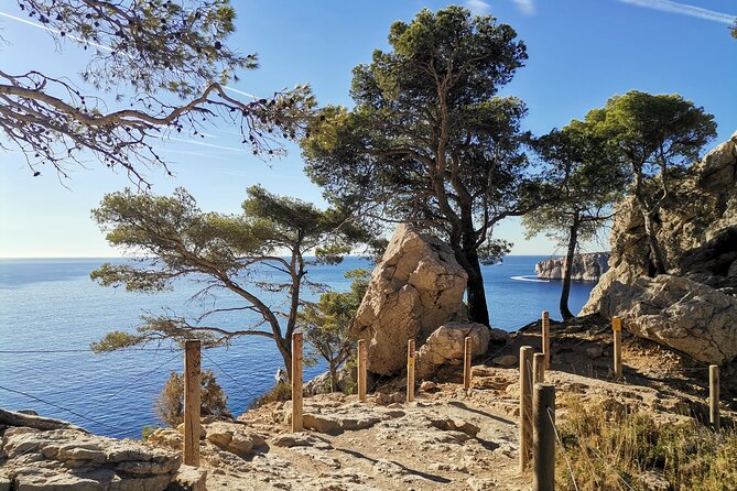 Hiking in the Calanques National Park from Marseille - Climbing the Grande Candelle and Encountering Local Wildlife