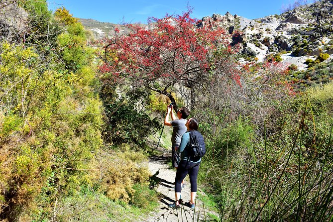Hiking in the Canyon of the Monachil Cubs in Granada - Starting Point and Meeting Details in Granada