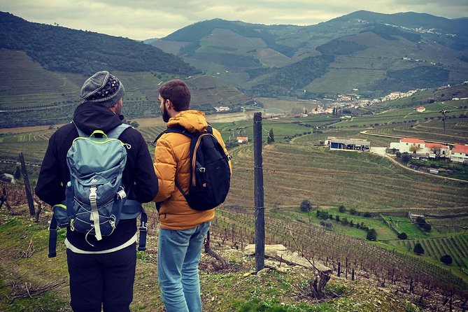 HIKING in the Douro Valley - Optional Boat Cruise on the Douro River