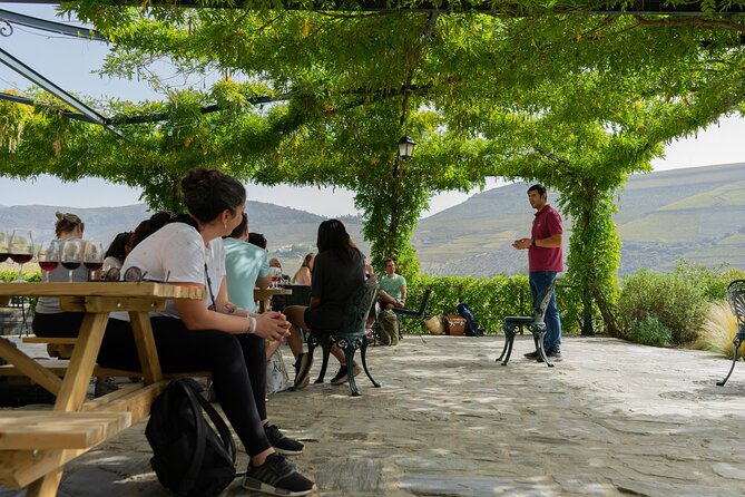 HIKING in the Douro Valley - Enjoying Local Produce and a Scenic Picnic