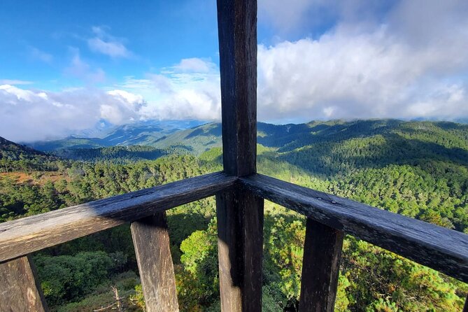 Hiking in the Enchanted Forest of Ixtepeji with Rescue Dogs - Key Points