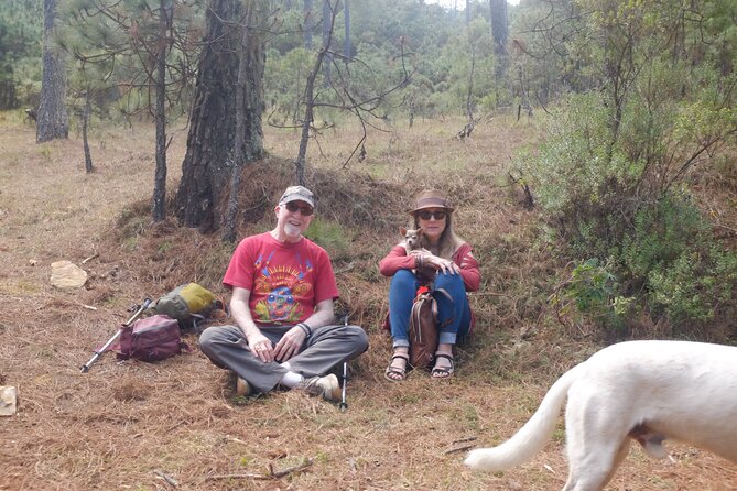 Hiking in the Enchanted Forest of Ixtepeji with Rescue Dogs - Interaction with Rescued Dogs in the Forest