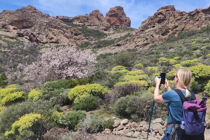 Hiking in the Sacred Mountains of Gran Canaria: UNESCO - Discovering Gran Canarias Sacred Sites and Landscape
