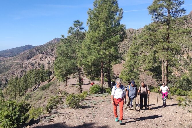 Hiking in the Sacred Mountains of Gran Canaria: UNESCO - Expert Guides and Personalised Experience