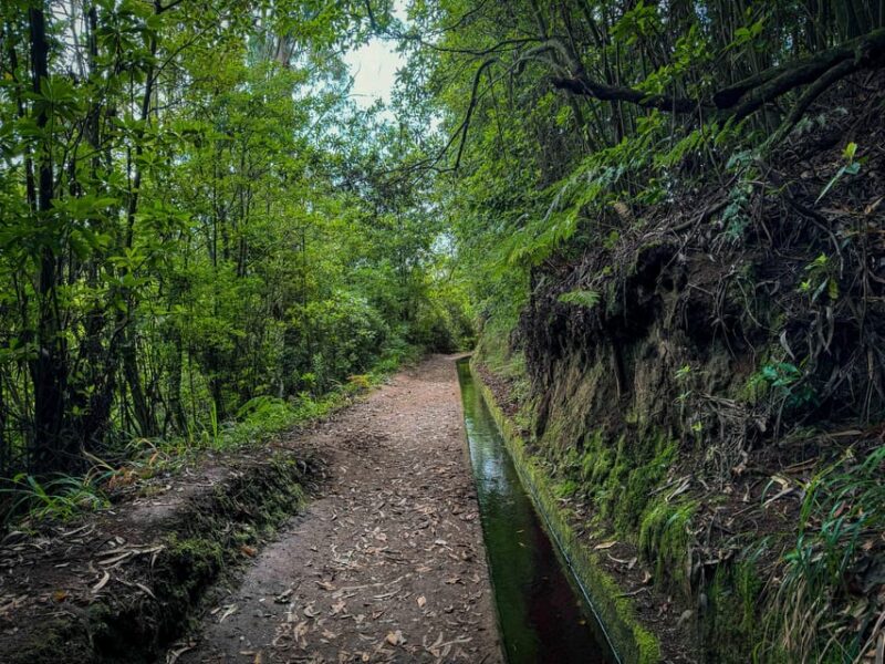Hiking Madeira: Levada do Rei and the Majestic Laurissilva - Key Points