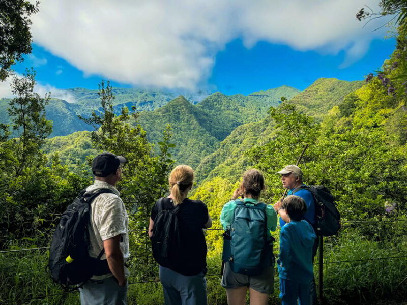 Hiking Madeira: Levada do Rei and the Majestic Laurissilva - Madeira’s Levada do Rei: A Scenic Trek into UNESCO Heritage