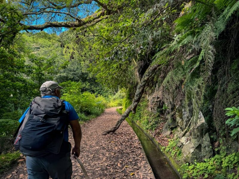 Hiking Madeira: Levada do Rei and the Majestic Laurissilva - The Waterfall and Ribeiro Bonito: A Peaceful Natural Stop