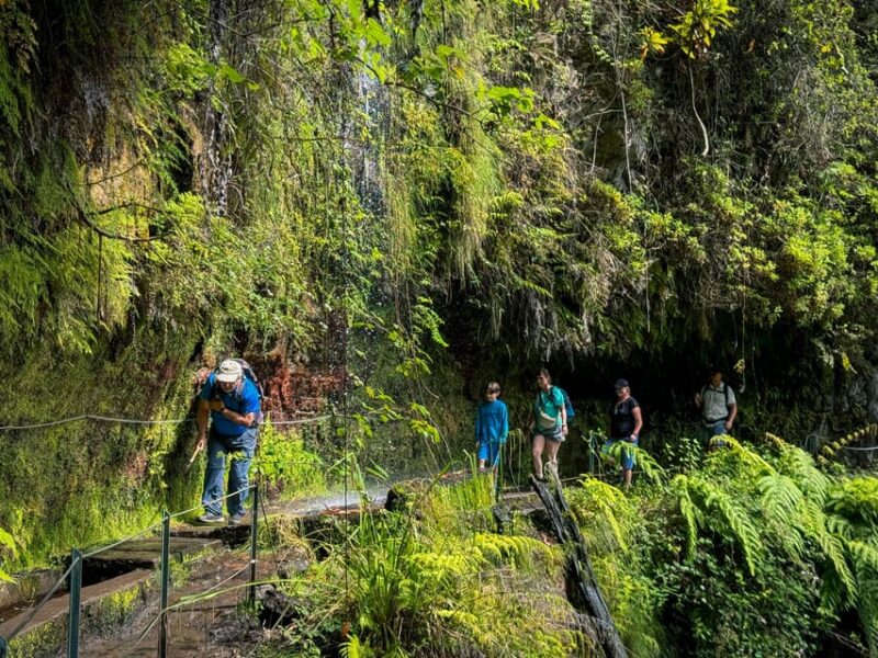 Hiking Madeira: Levada do Rei and the Majestic Laurissilva - Frequently Asked Questions