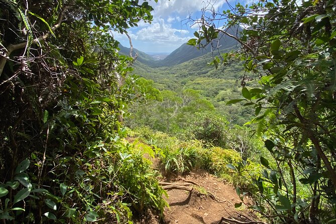Hiking Maui Hawaii - Discover the Charm of Hiking Maui with Aloha Wild Tours