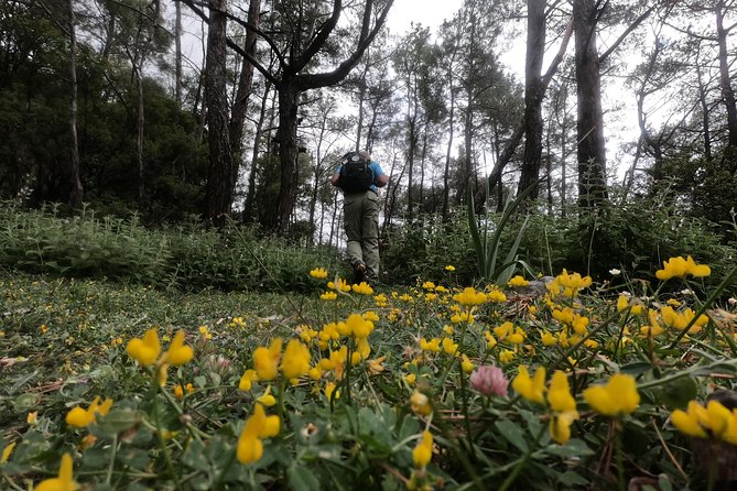 Hiking Mountain Akramitis Rhodes - pick up service available - Explore Rhodes Mountain Akramitis on a Guided Hike with Pickup