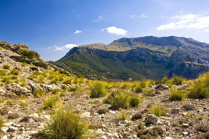 Hiking Private Tour in Pollensa - Explore Mallorca’s Hidden Trails on a Private Hiking Tour in Pollensa