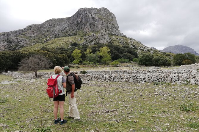 Hiking Private Tour in Pollensa - Key Points
