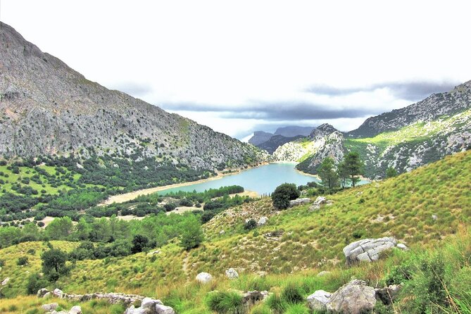Hiking Private Tour in Pollensa - Physical Requirements and Suitability