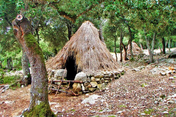 Hiking Private Tour in Pollensa - Concerns and Considerations for Potential Participants