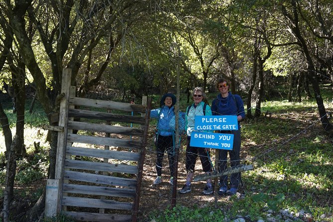 Hiking Profitis Ilias Mountain - pick up service available - Key Points