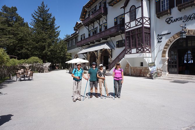 Hiking Profitis Ilias Mountain - pick up service available - The Descent Back to Salakos Through Shaded Trails