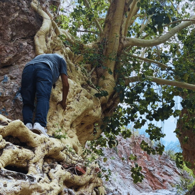 Hiking Ruta del Novillo: explore Sonora's natural surroundings. - Visiting the Dry Waterfall, a Natural Rock Formation