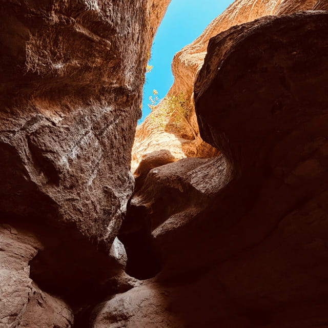Hiking Ruta del Novillo: explore Sonora's natural surroundings. - Tasting Bacanora and Its Heritage Significance