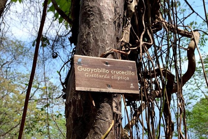 Hiking & Snorkeling to Mexico's Smallest Paradise Colomitos Beach - Discovering Colomitos Beach: Mexicos Smallest Paradise