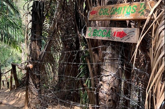 Hiking & Snorkeling to Mexico's Smallest Paradise Colomitos Beach - Logistics and Meeting Details