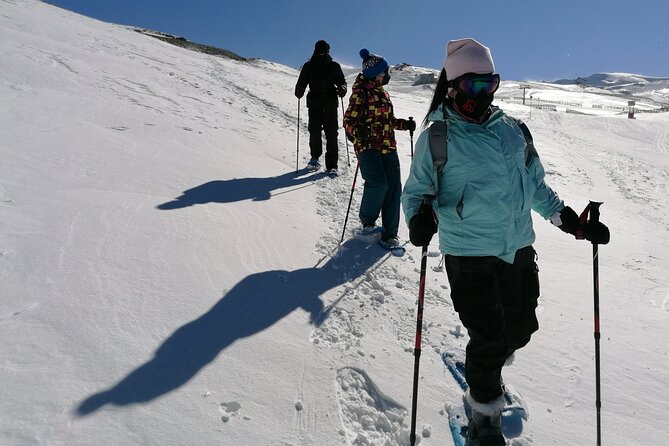 Hiking Snowshoeing in the Sierra Nevada Park, Granada - Expert, Bilingual Guides with a Passion for Safety