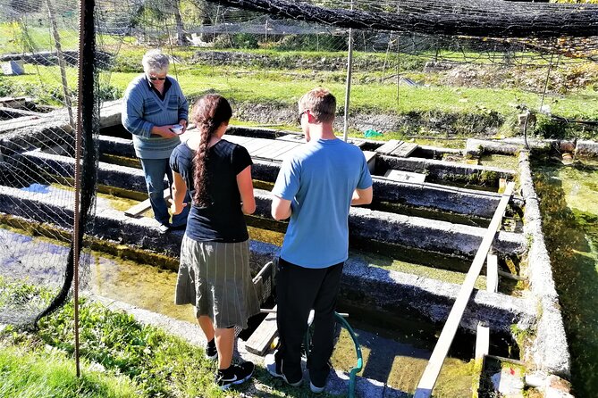 Hiking the Highest Waterfall in EU Hike, Rome - Incorporating Local Culture: Coffee and Trout Farm Visits