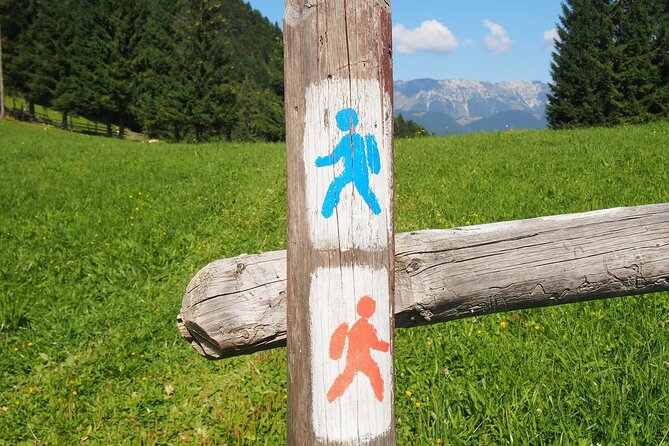 Hiking thought the best mountain villages in Romania-Private tour from Brasov - The Guide and Transportation Experience