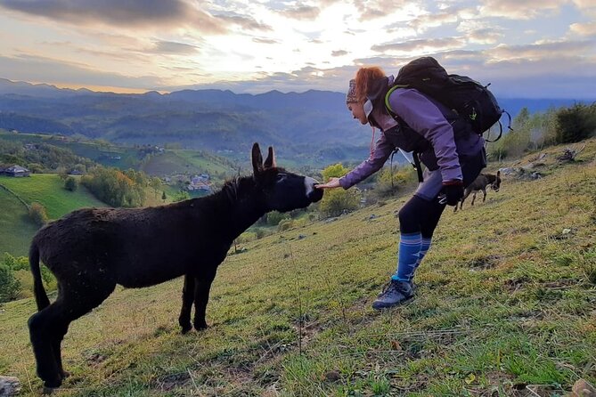 Hiking thought the best mountain villages in Romania-Private tour from Brasov - Concluding Insights on This Romanian Mountain Village Tour