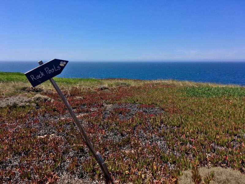 Hiking Tour Along the West Coastline - A Coastal Adventure Starting at Bicas Beach