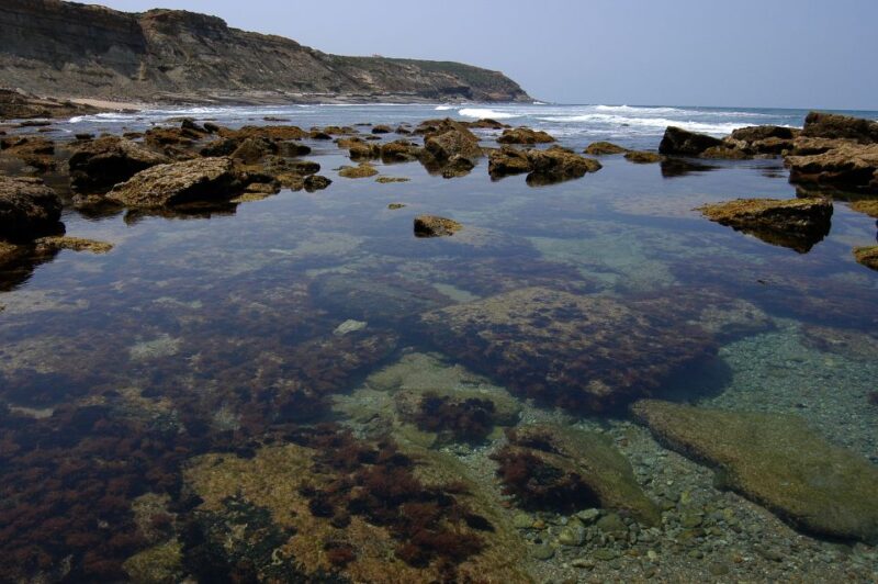 Hiking Tour Along the West Coastline - Scenic Viewpoints and Secret Stops Along the Coast