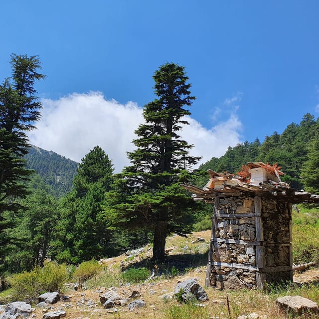 Hiking Tour At The Taurus Mountains of Alanya - Who Would Enjoy This Hiking Tour?