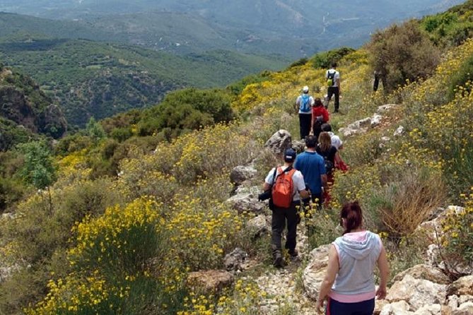 Hiking Tour in Nafplio - Physical Requirements and Practical Tips