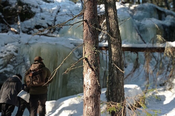 Hiking tour in Nuuksio National Park with meal and snacks - What to Expect from the Guided Walk in Nuuksio
