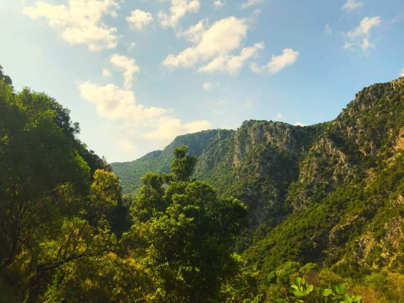 Hiking tour in Souli plateau, Kougi and Skala Tzavelena - Starting Point at Glyki Village and the Trailhead