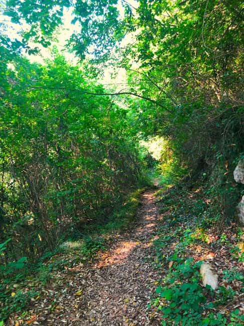 Hiking tour in Souli plateau, Kougi and Skala Tzavelena - Physical Requirements and Accessibility