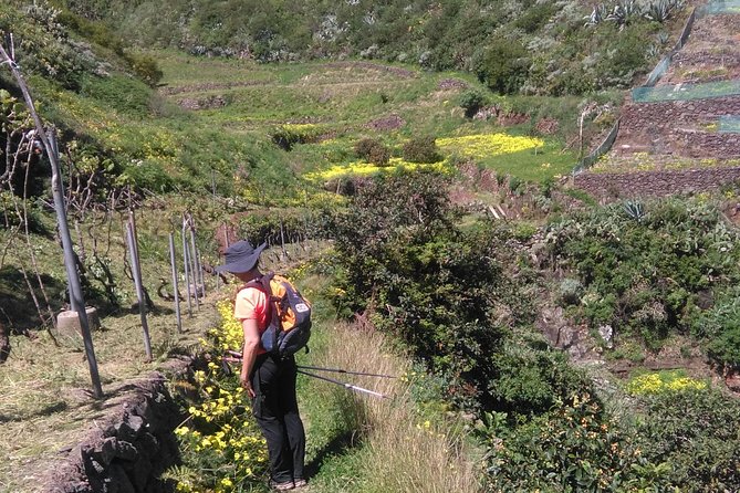 Hiking tour in the Anaga biosphere reserve in Tenerife - How the Tour Starts at La Laguna and Uses Public Transport