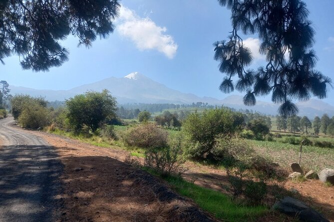 Hiking Tour on the Pico de Orizaba Volcano - Considerations and Booking Details