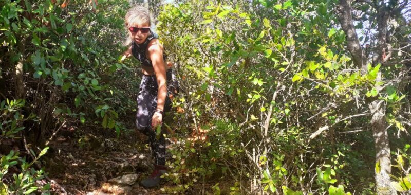 Hiking tour to Highest Limestone Cliff in Europe - Practical Details: Logistics and Preparation