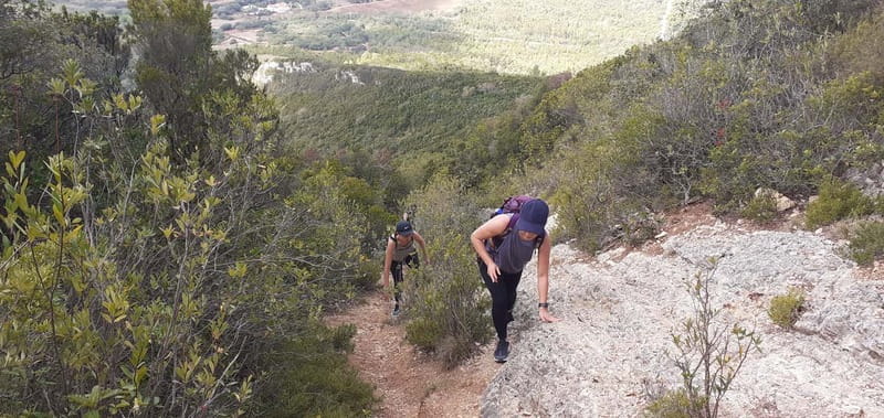 Hiking Tour to the highest point of Arrábida Mountain - Learning about Portuguese Plants and Wildlife