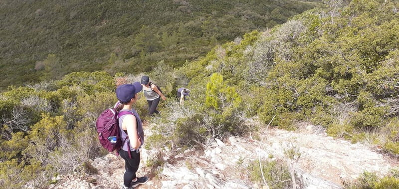 Hiking Tour to the highest point of Arrábida Mountain - Flexibility and Cancellation Policy