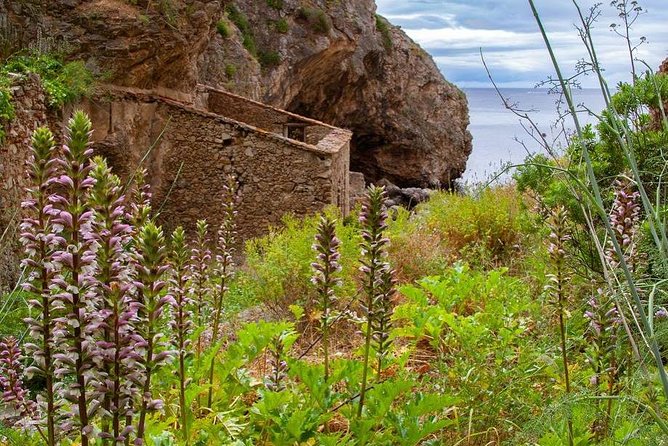 Hiking Tour to the Paradise Beach - Scenic Coastal Hike from Azoia to Paradise Beach