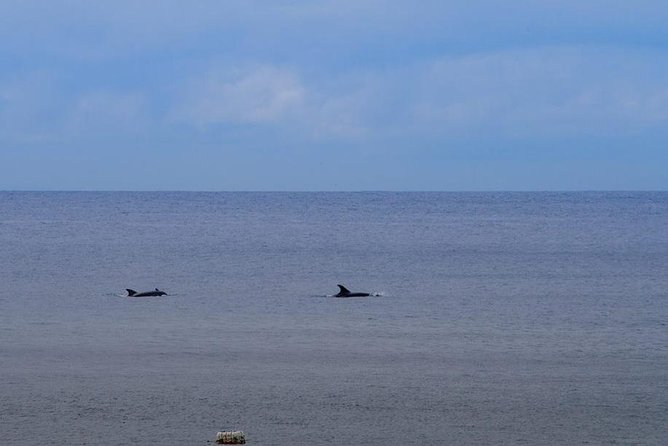 Hiking Tour to the Paradise Beach - Additional Sightseeing: Cape Espichel and Remainder of the Day